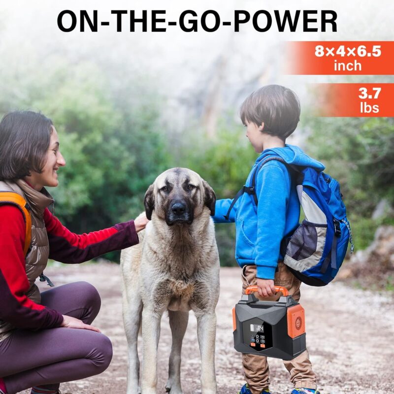 Portable Power Station 300W(Peak 600W), BailiBatt 257Wh 8-Port Portable Generator with Flashlight, 110V Pure Sine Wave AC Outlet Lithium Battery, Solar Generator for CPAP Home Camping Emergency Backup